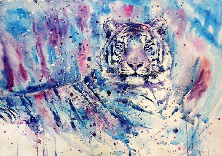 white Tigers, Tiger, Artwork, Painting, Watercolor, Blue, Purple, Animals HD Wallpaper Desktop Background