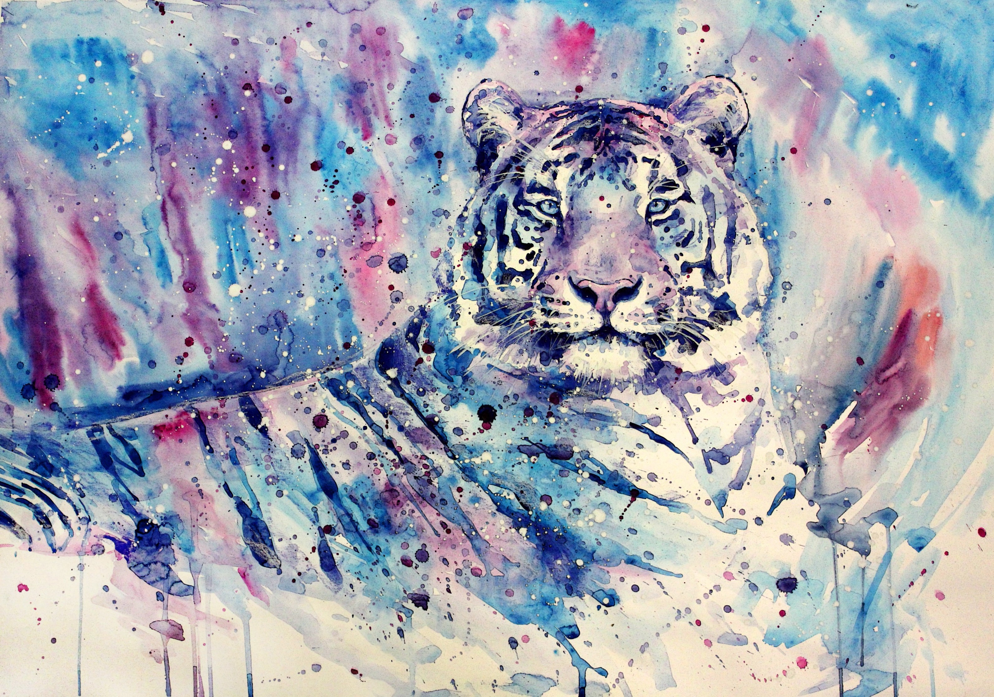 white Tigers, Tiger, Artwork, Painting, Watercolor, Blue, Purple, Animals Wallpaper