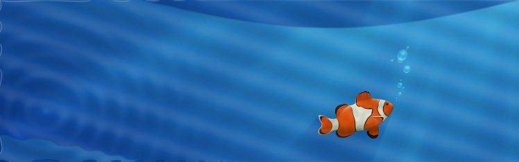 animals, Clownfish HD Wallpaper Desktop Background