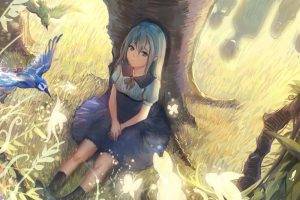 anime Girls, Birds, Trees, Original Characters, Blue Hair