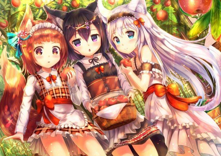 anime Girls, Anime, Nekomimi, Original Characters HD Wallpaper Desktop Background