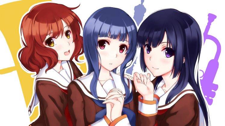 anime Girls, Anime, Hibike! Euphonium, Kousaka Reina, Oumae Kumiko, Yoroizuka Mizore, School Uniform HD Wallpaper Desktop Background
