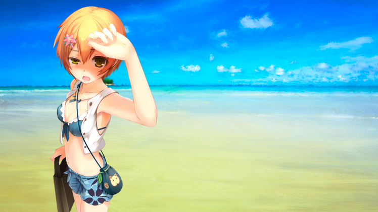 anime Girls, Anime, Love Live!, Hoshizora Rin HD Wallpaper Desktop Background