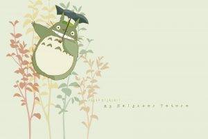 My Neighbor Totoro, Totoro, Studio Ghibli