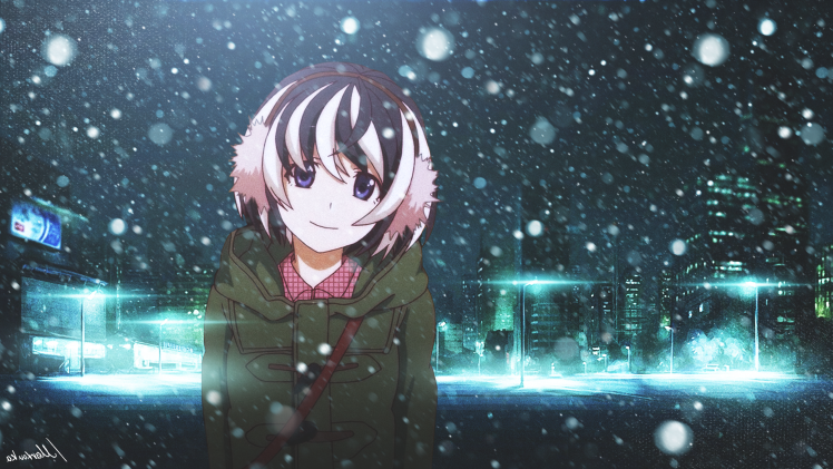 Monogatari Series, Hanekawa Tsubasa, Winter, Night, City, Snow, Anime HD Wallpaper Desktop Background