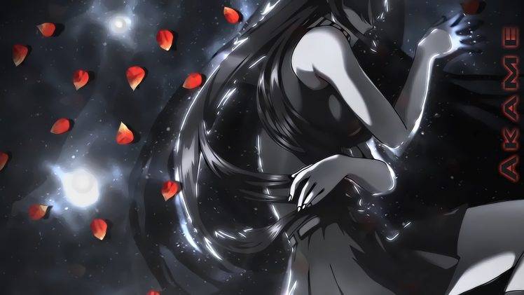 Akame Ga Kill!, Akame HD Wallpaper Desktop Background