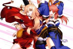 Fate Extra, Fate Series, Caster (Fate Extra), Fate Extra CCC, Animal Ears