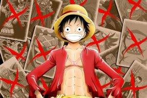One Piece, Monkey D. Luffy