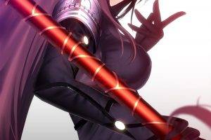 Fate Grand Order, Lancer (Fate Grand Order), Purple Hair, Red Eyes, Spear, Long Hair