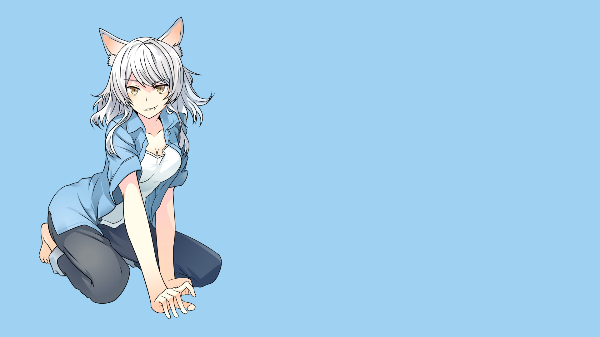 anime Girls, Anime, Hanekawa Tsubasa, Monogatari Series, Sawarineko Wallpaper