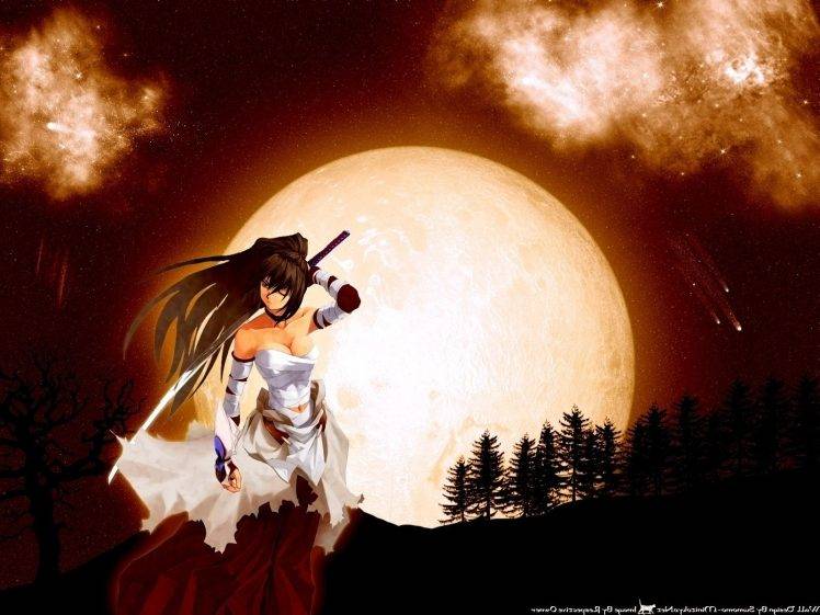 anime Girls, Sword, Original Characters HD Wallpaper Desktop Background