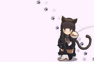 Ore No Imouto Ga Konnani Kawaii Wake Ga Nai, Gokou Ruri, Cat Girl
