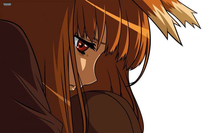 Holo, Spice And Wolf HD Wallpaper Desktop Background