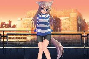 anime, Anime Girls, Original Characters, Inumimi