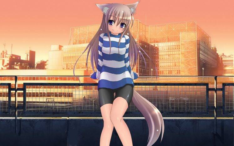 anime, Anime Girls, Original Characters, Inumimi HD Wallpaper Desktop Background