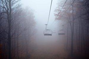 mist, Trees, Aspen, Cable Cars