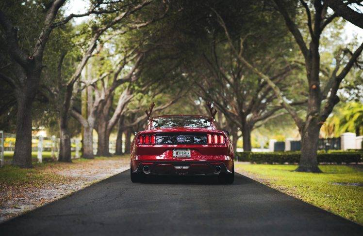 mustang Gt500, Ford, Nature, Rear View, Ford Mustang Shelby, Muscle Cars HD Wallpaper Desktop Background