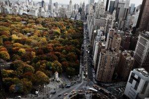 architecture, City, Cityscape, Trees, Building, New York City, USA, Street, Park, Car, Central Park, Taxi, Skyscraper, Fall, Blurred, Birds Eye View, Window, Roundabouts, Urban