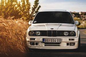 BMW, Wheat, White, Car