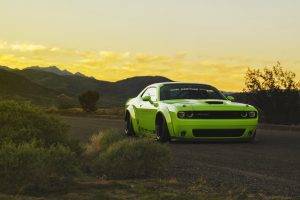 Dodge Challenger, Dodge, Green Cars, Muscle Cars, Sunset, Green