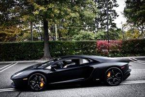 car, Lamborghini