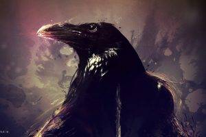 raven, Artwork, Animals, Birds