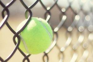 sport, Tennis, Ball, Tennis Balls, Fence, Depth Of Field, Sunlight