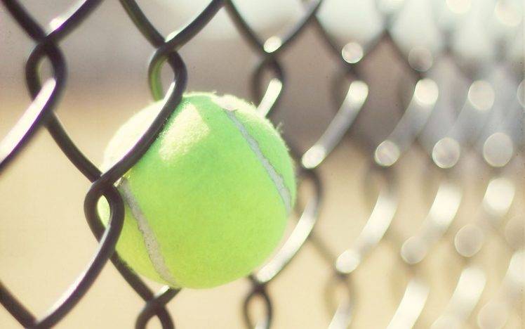 sport, Tennis, Ball, Tennis Balls, Fence, Depth Of Field, Sunlight HD Wallpaper Desktop Background