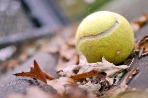 macro, Tennis Balls, Leaves