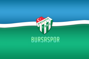 Bursaspor, Green, Sports