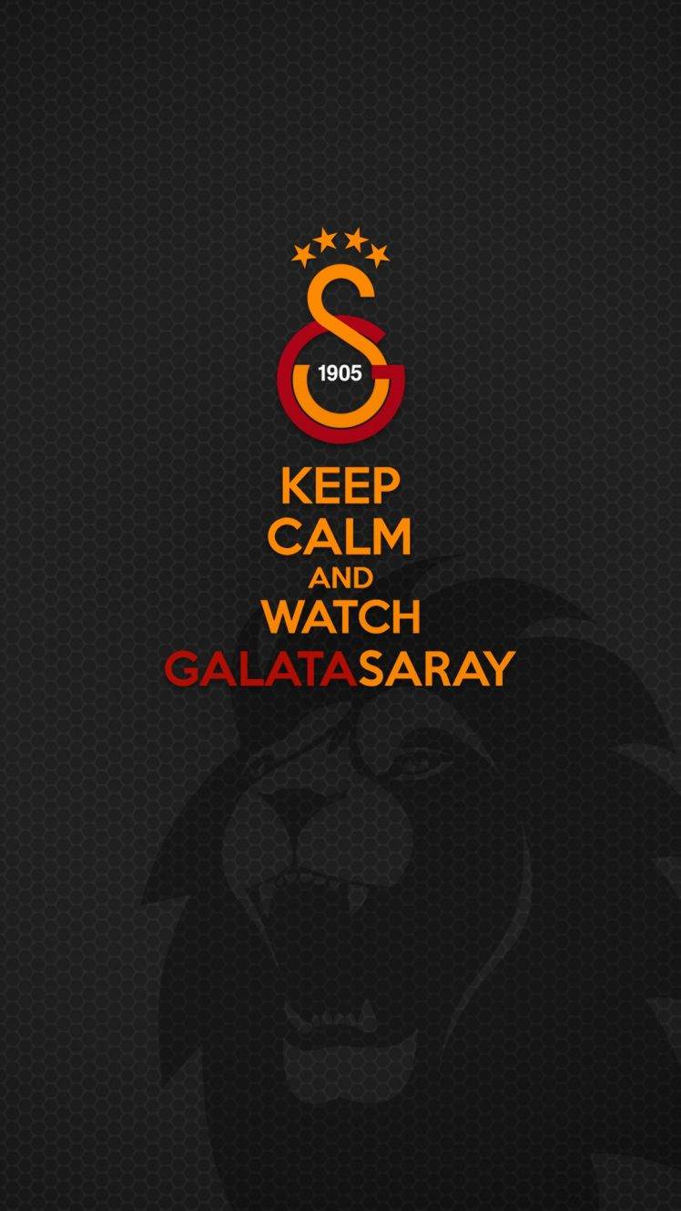 footballers, Galatasaray S.K., Soccer HD Wallpaper Desktop Background