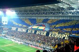 Fenerbahçe, Sports