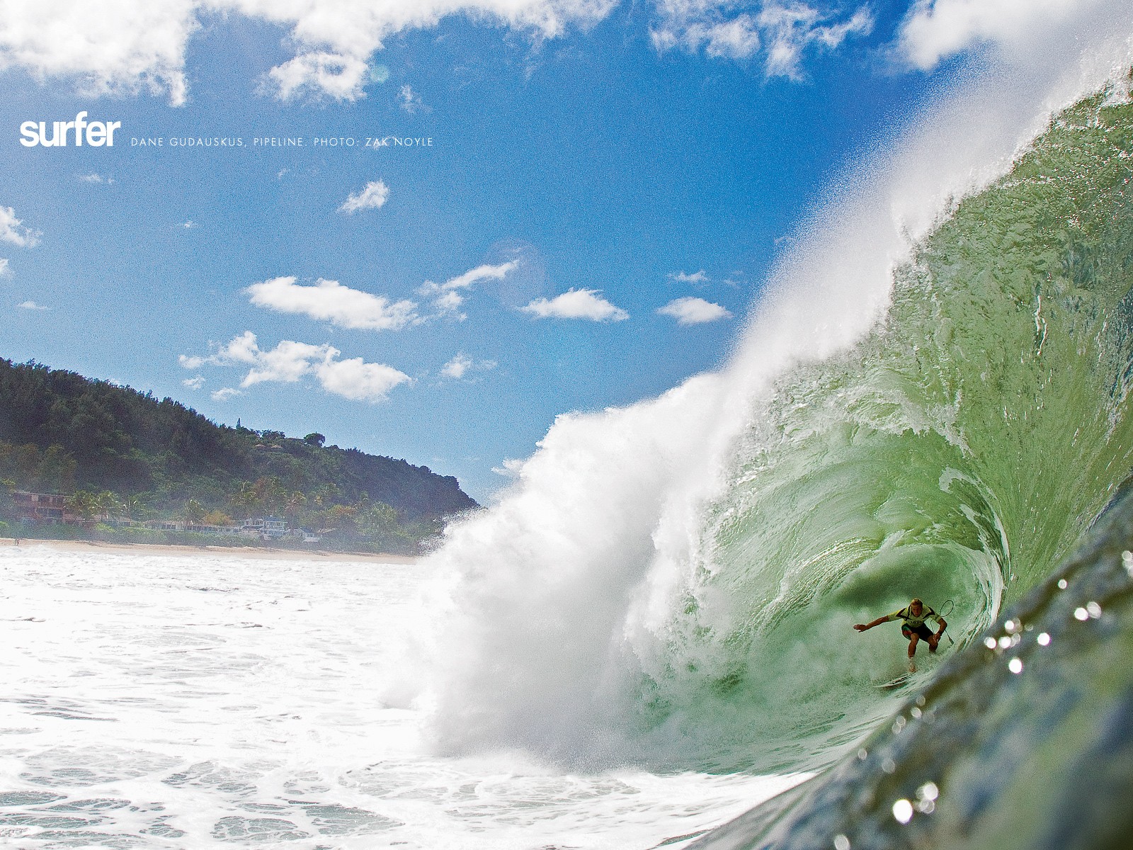 surfing Wallpaper