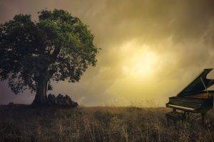 nature, Trees, Branch, Leaves, Photo Manipulation, Piano, Field, Sun, Clouds, Grass, Chair