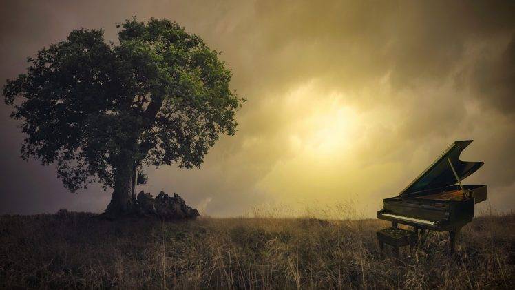nature, Trees, Branch, Leaves, Photo Manipulation, Piano, Field, Sun, Clouds, Grass, Chair HD Wallpaper Desktop Background