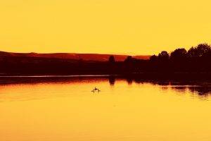 photography, Landscape, Water, Sunset, Orange, Trees, Lake