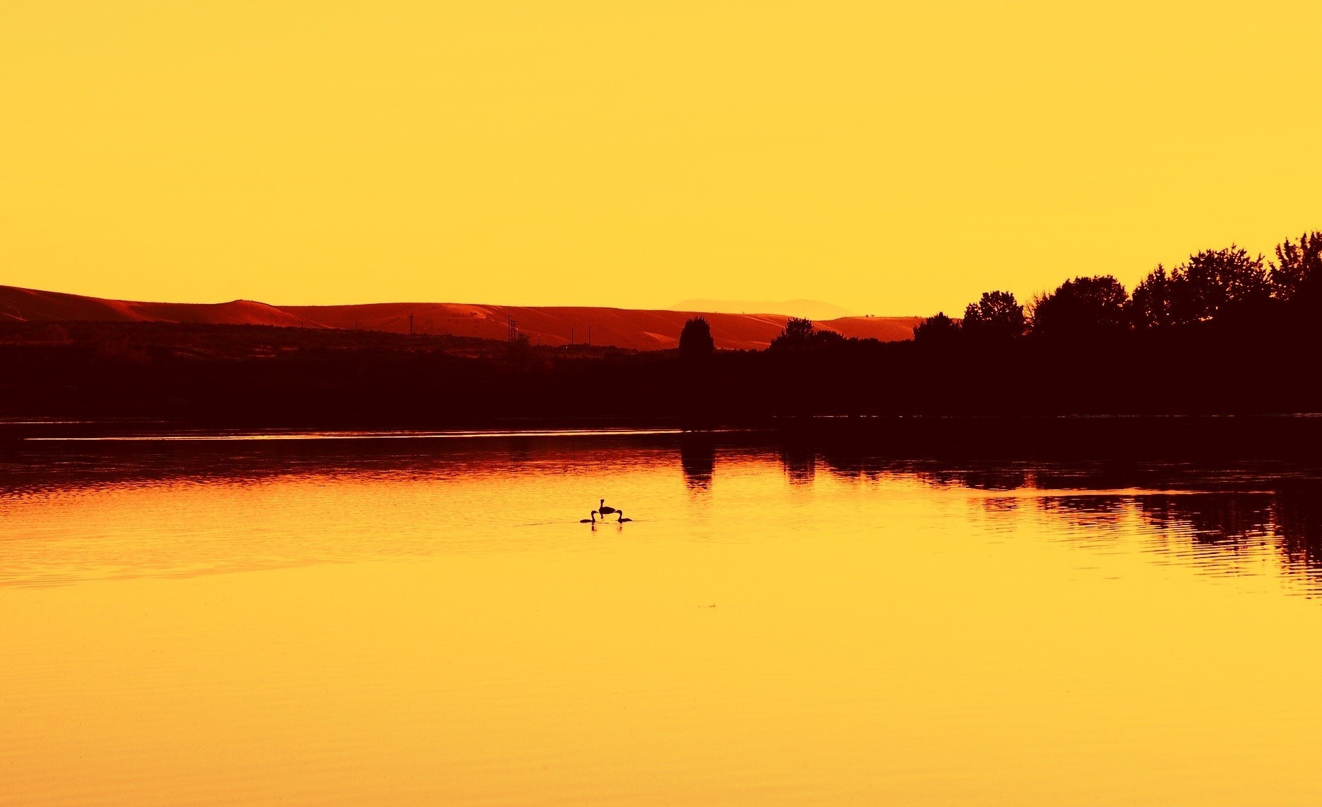 photography, Landscape, Water, Sunset, Orange, Trees, Lake Wallpaper