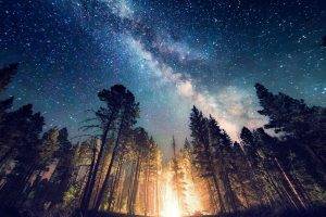 long Exposure, Starry Night, Milky Way, Galaxy, Nature, Camping, Forest, Landscape, New Mexico, Lights, Trees