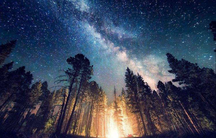 long Exposure, Starry Night, Milky Way, Galaxy, Nature, Camping, Forest, Landscape, New Mexico, Lights, Trees HD Wallpaper Desktop Background