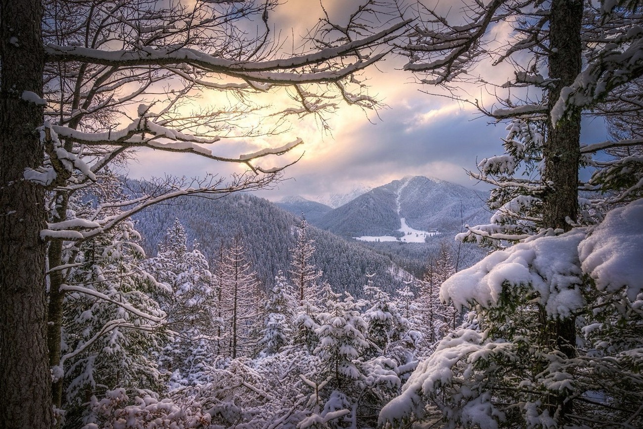 landscape, Nature, Winter, Sunset, Forest, Snow, Mountain, Clouds, Cold, Trees, Poland Wallpaper