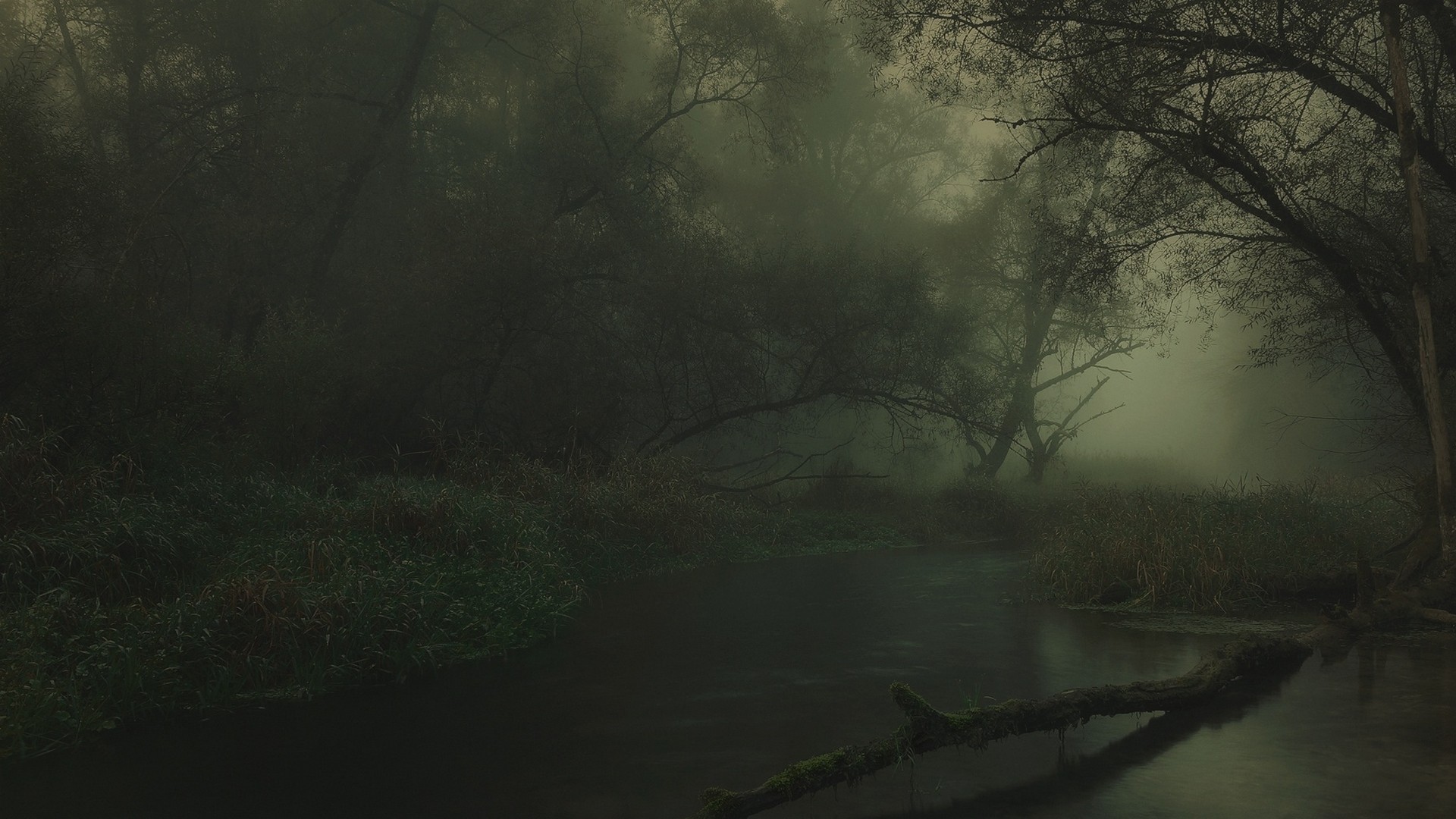 landscape, Nature, River, Forest, Dark, Sunrise, Mist, Shrubs, Trees