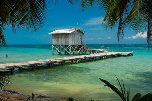 nature, Landscape, Beach, Tropical, Sea, Palm Trees, Dock, Wooden Surface, Cabin, Turquoise, Water, Belize