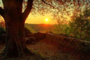 photography, Nature, Plants, Landscape, Trees, Fall, Sunset, Walls, Stones