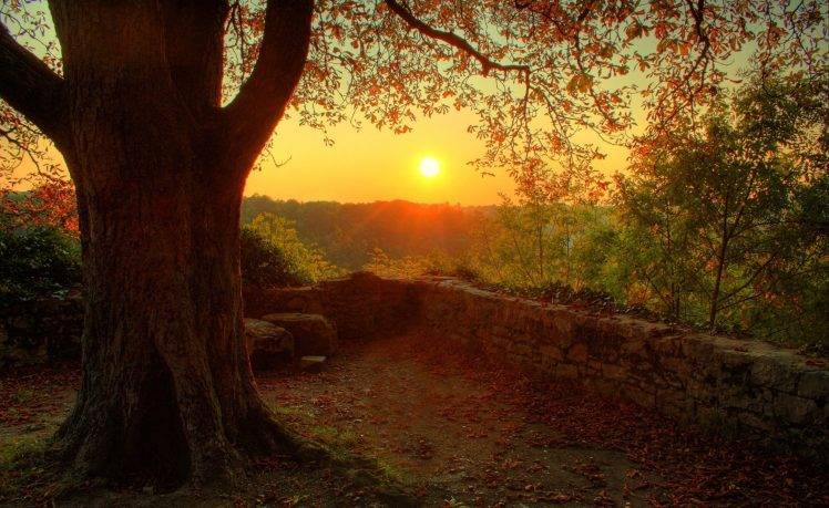 photography, Nature, Plants, Landscape, Trees, Fall, Sunset, Walls, Stones HD Wallpaper Desktop Background