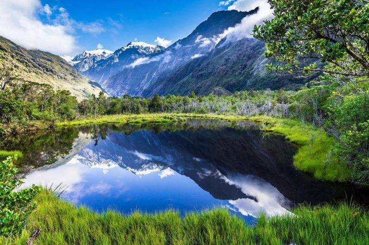 nature, Landscape, Summer, Lake, Reflection, Mountain, Grass, Forest, Snowy Peak, Clouds, New Zealand HD Wallpaper Desktop Background