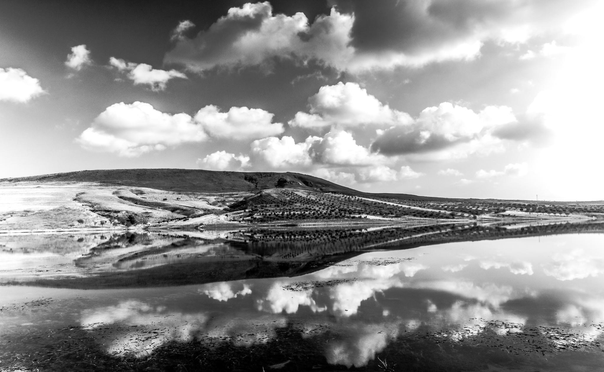 It is a graphic of Comprehensive Landscape Drawing In Monochromatic And Landscaape It's just a graphic of Comprehensive Landscape Drawing In Monochromatic And Landscaape