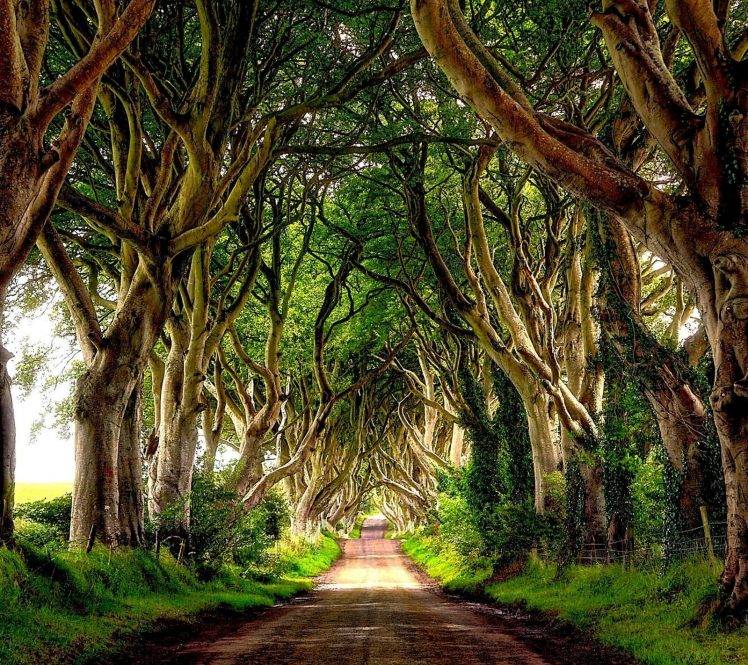 Hãy khám phá vẻ đẹp lãng mạn của phong cảnh Ireland qua bức ảnh đẹp mắt này. Với cánh đồng xanh tươi, những đồi cồn linh thiêng và những ngọn núi non cao trùng điệp, bạn sẽ bị cuốn hút bởi sắc màu đất trời hòa quyện vào nhau tạo thành bức tranh thật tuyệt vời.