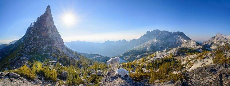 nature, Landscape, Panoramas, Mountain, Lake, Goats, Trees, Sun, Washington State HD Wallpaper Desktop Background