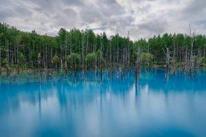 nature, Lake, Reflection, Landscape, Forest