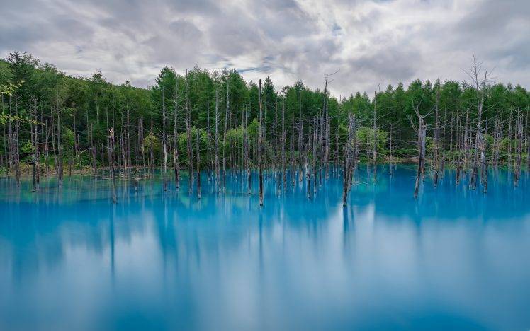 nature, Lake, Reflection, Landscape, Forest HD Wallpaper Desktop Background
